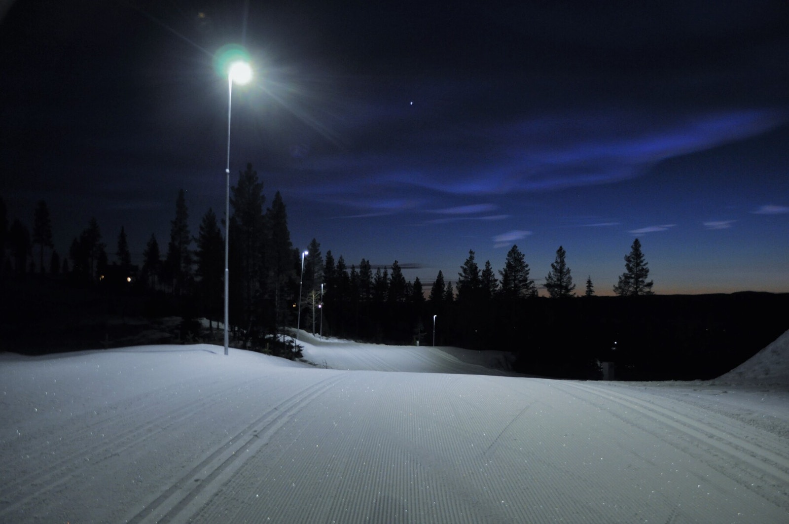 På Furutangen finner du en av landets lengste og fineste lysløyper for langrenn Galleribilde