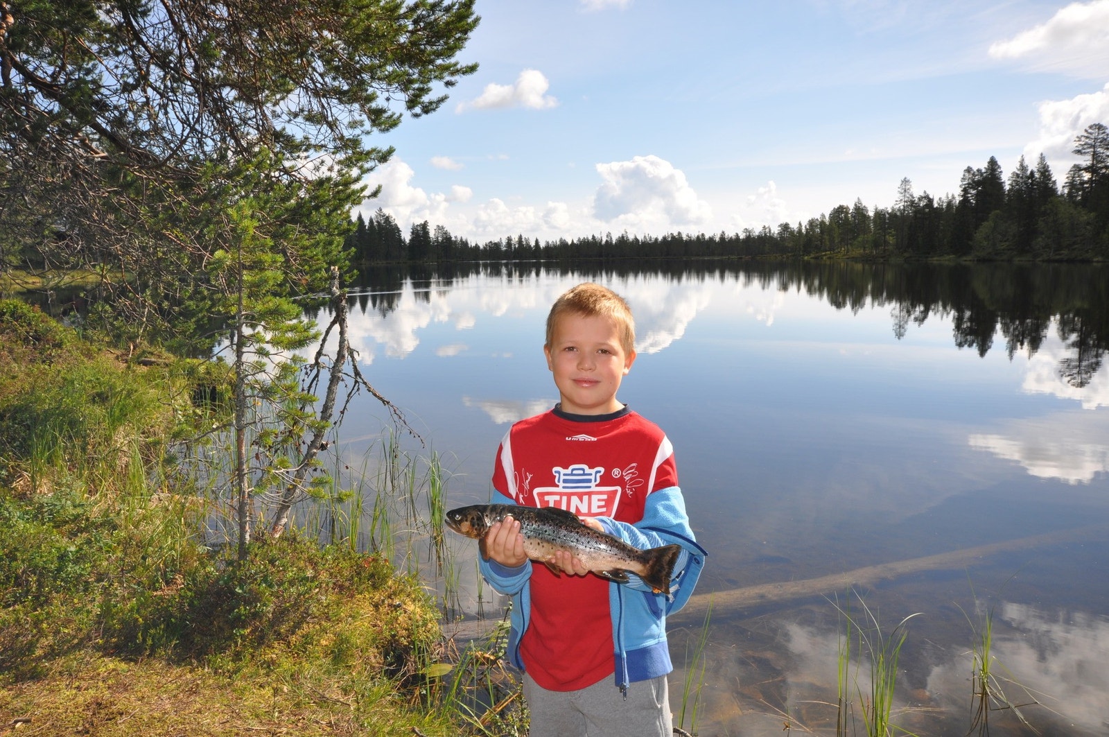 Mange fiskevann i området Galleribilde