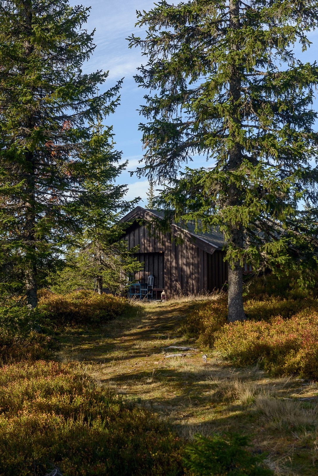 Helårsvei og strøm. Bioppstillingsplass ved hytta. Galleribilde
