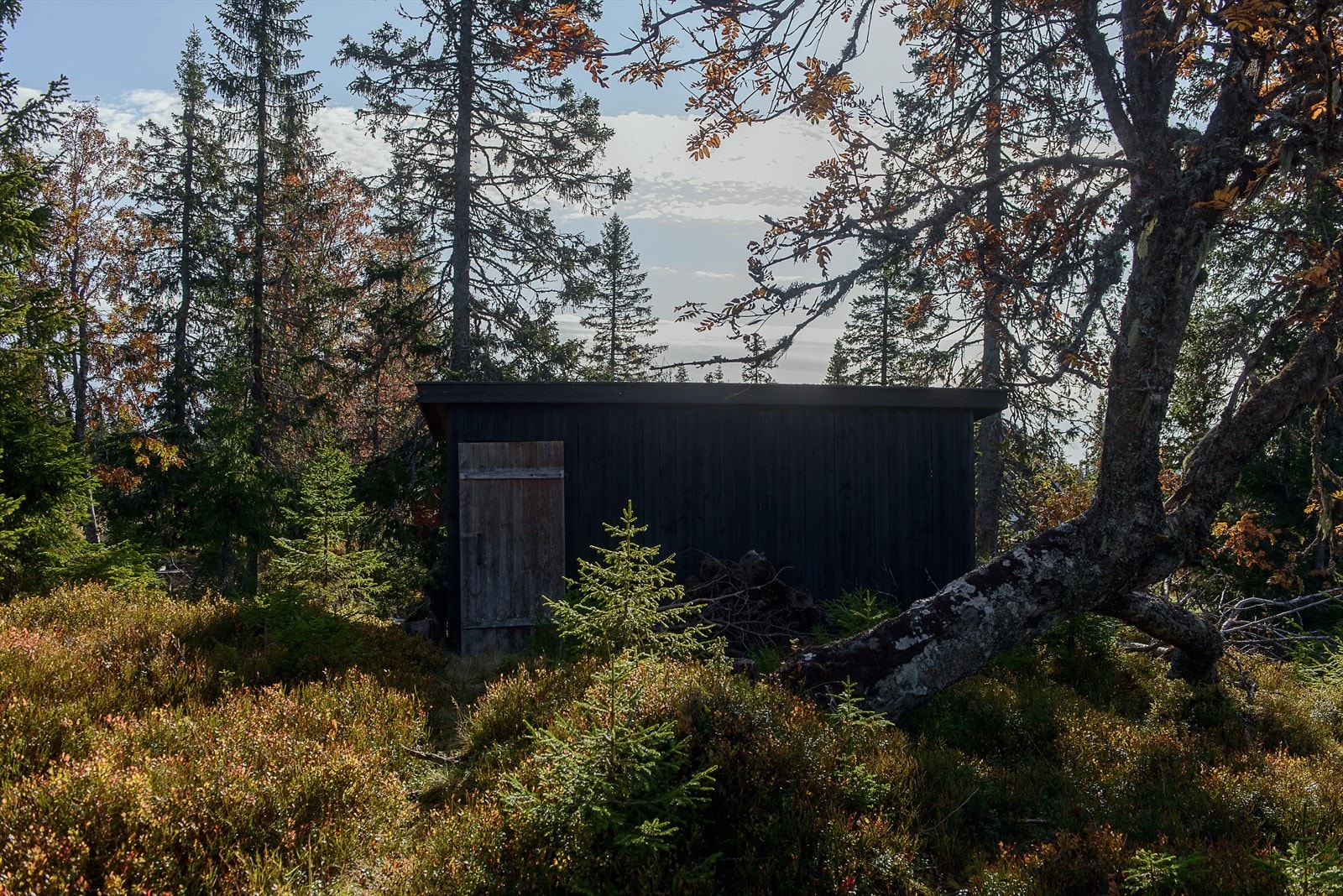 Enkelt uthus for oppbevaring av ved og utstyr. Galleribilde