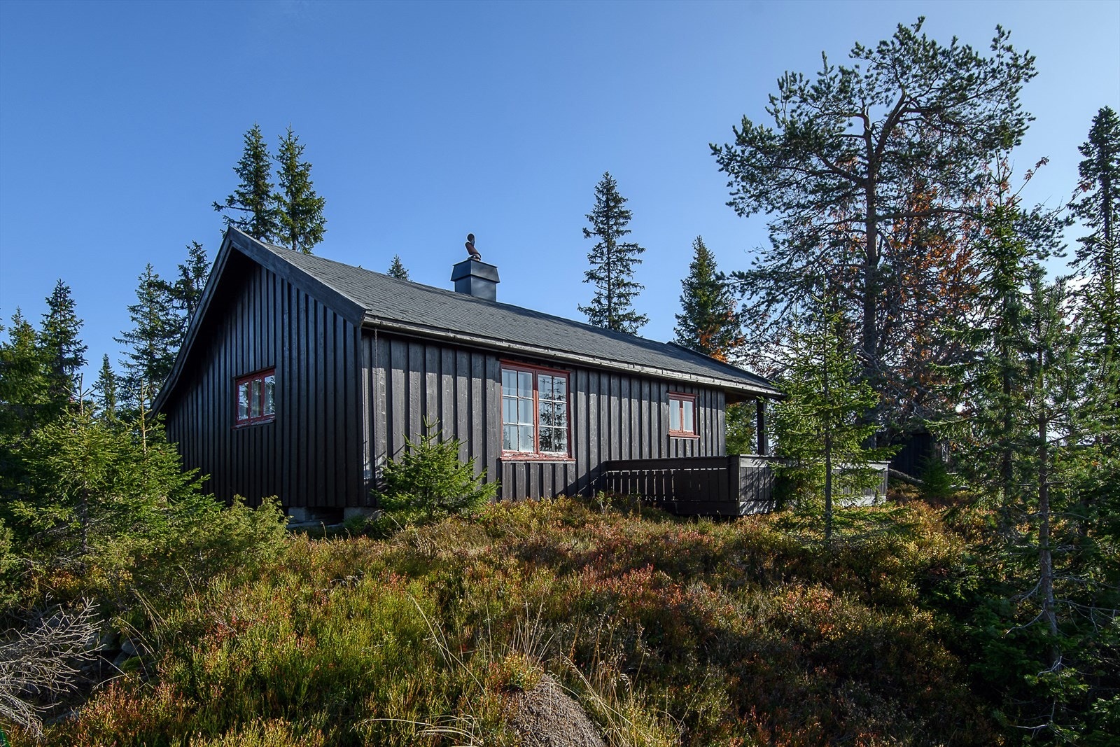 Eldre, enkel hytte i veletablerte og rolige omgivelser. Galleribilde