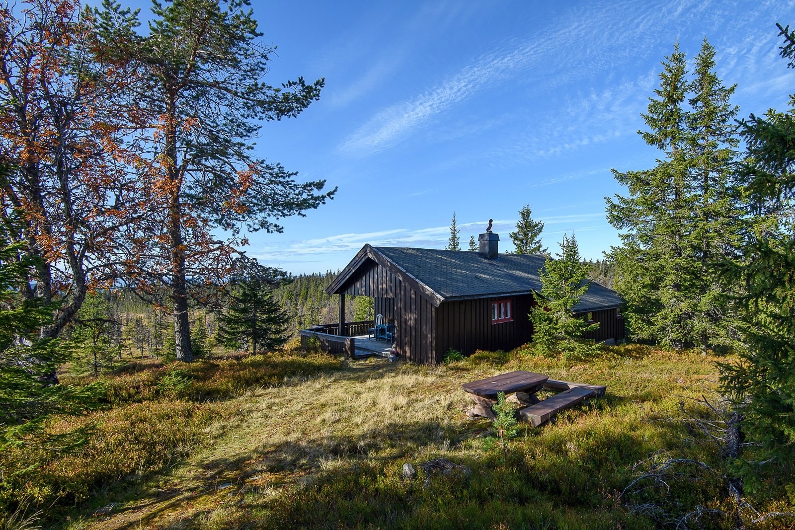 Velkommen til Lauvlia 7! Galleribilde