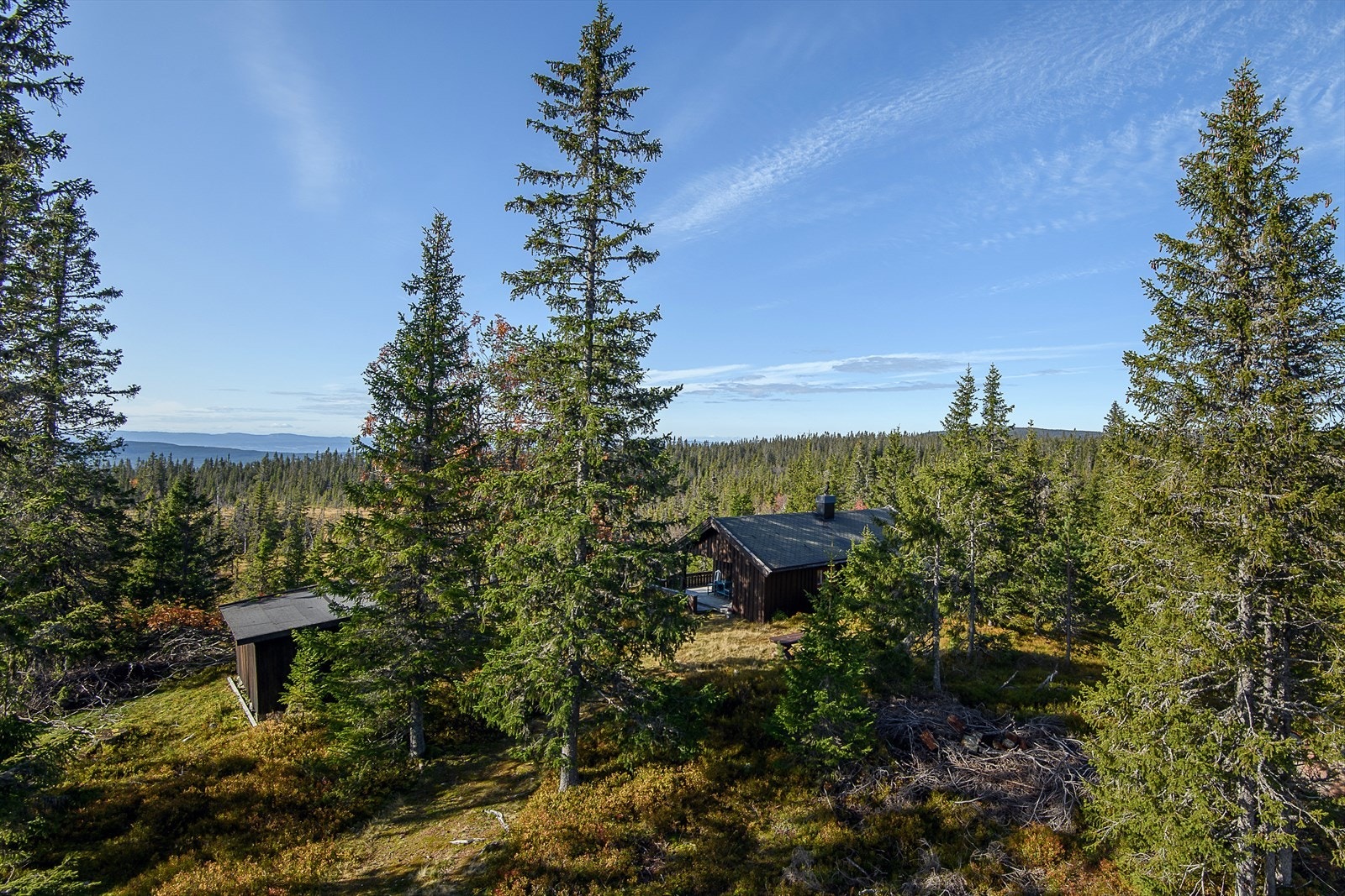 I umiddelbar nærhet finner du turstier og skiløyper. Dette er virkelig området for den turglade. Galleribilde
