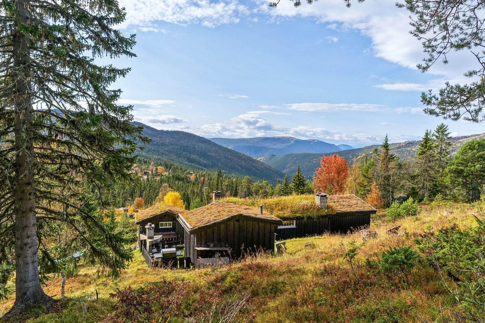 Trivelig hyttetun med en sentral beliggenhet på Mysusæter nedenfor Holesætre og nordøst for Rondane Spa Høyfjellshotell. Galleribilde