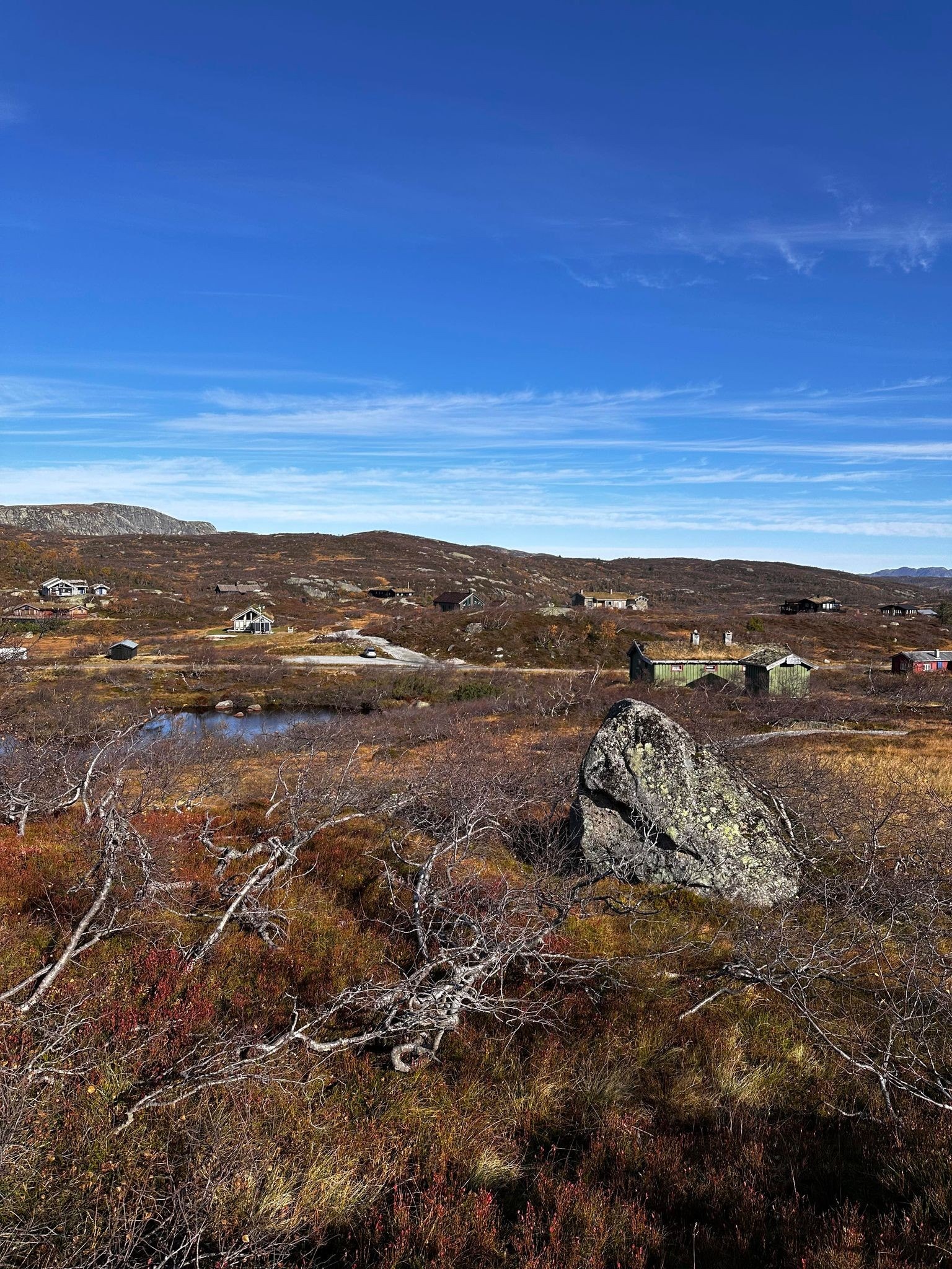 TOMT 10 Galleribilde