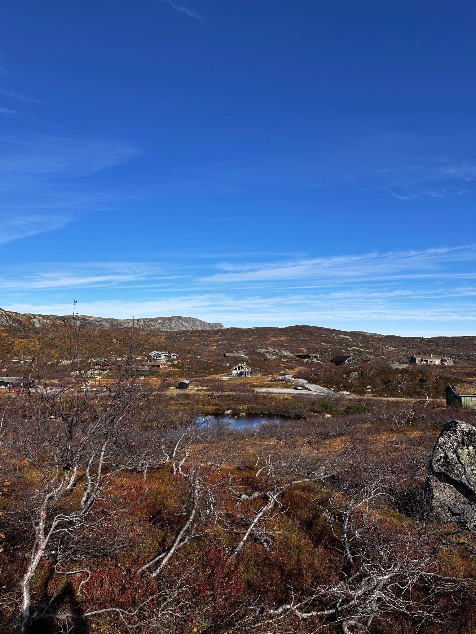 TOMT 10 Galleribilde