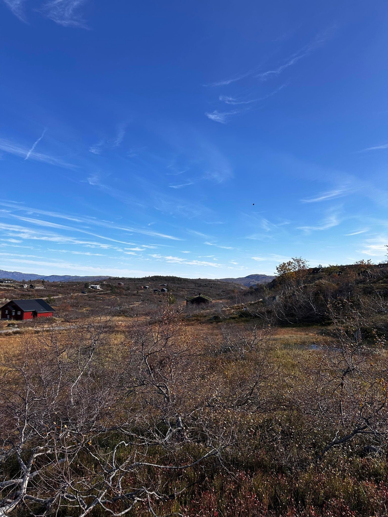 TOMT 10 Galleribilde