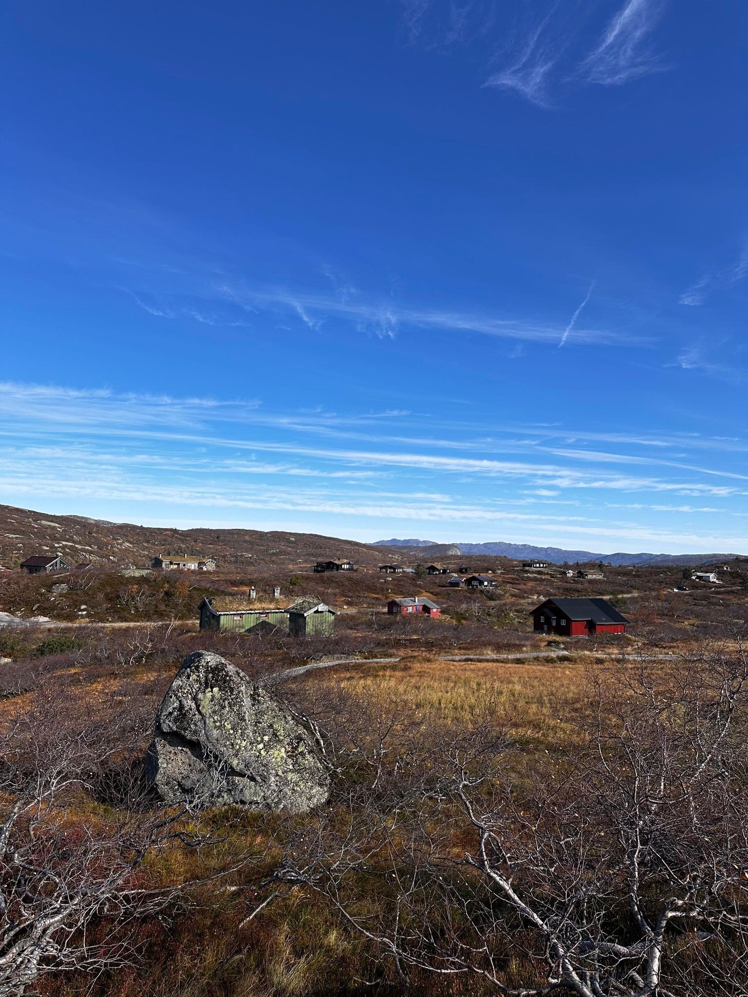 TOMT 10 Galleribilde