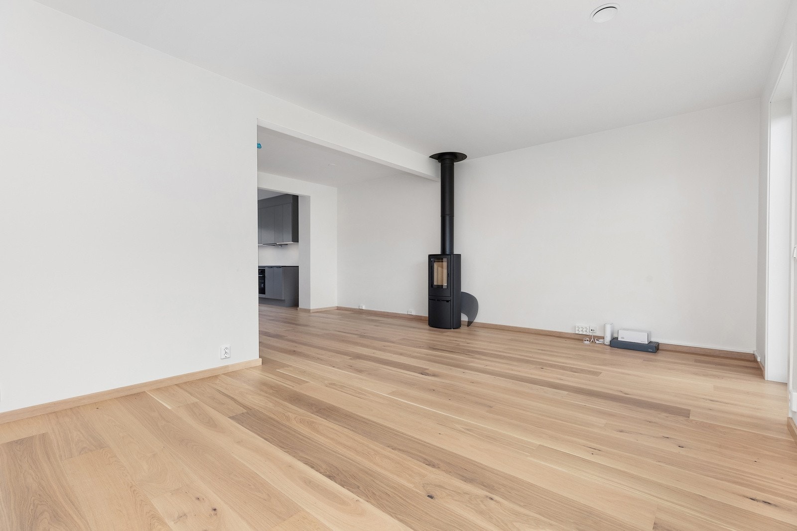 Flott og romslig stue med lekker peisovn! Galleribilde