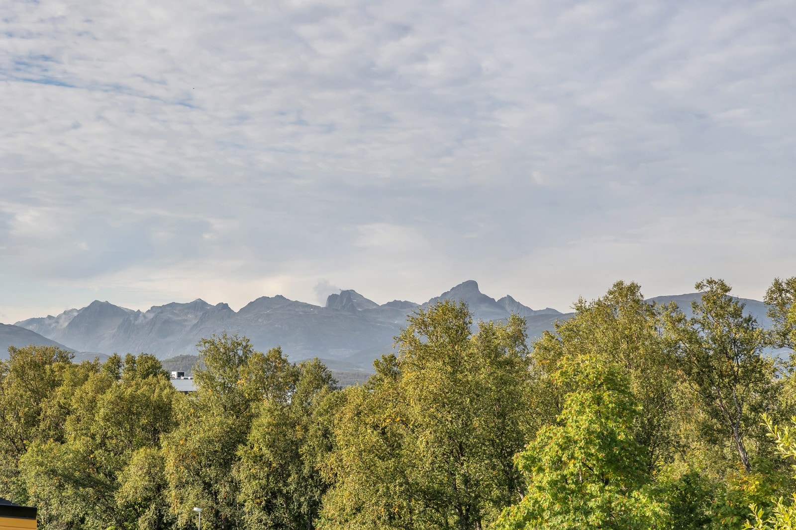 Sikt mot nord-vest Galleribilde