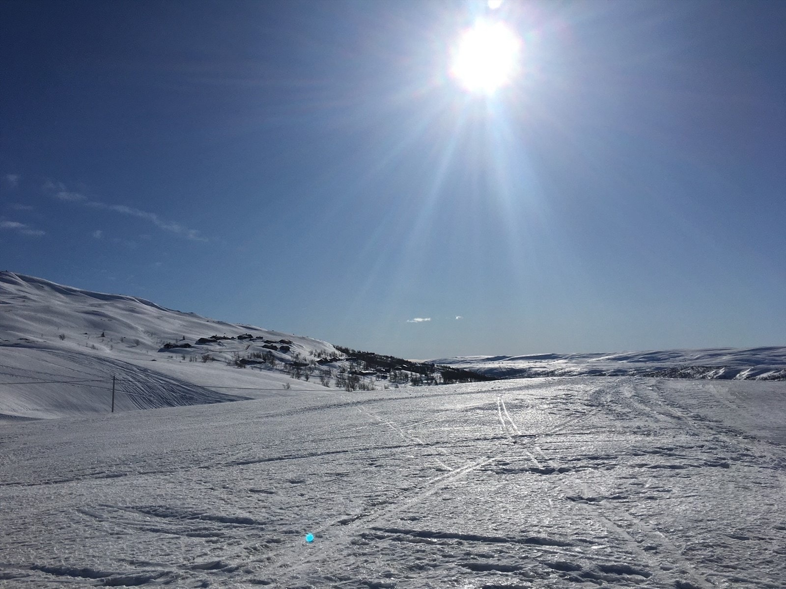 Selgers eget bilde Galleribilde