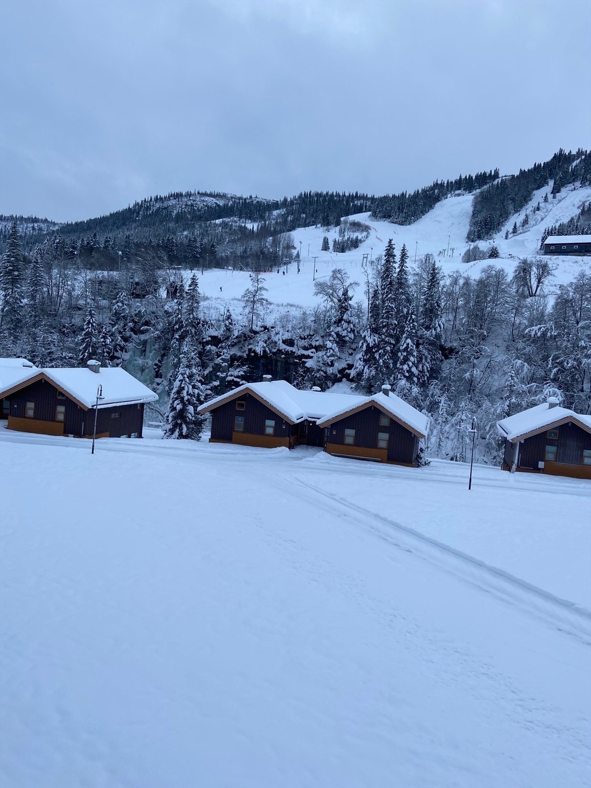 Selgers eget bilde Galleribilde