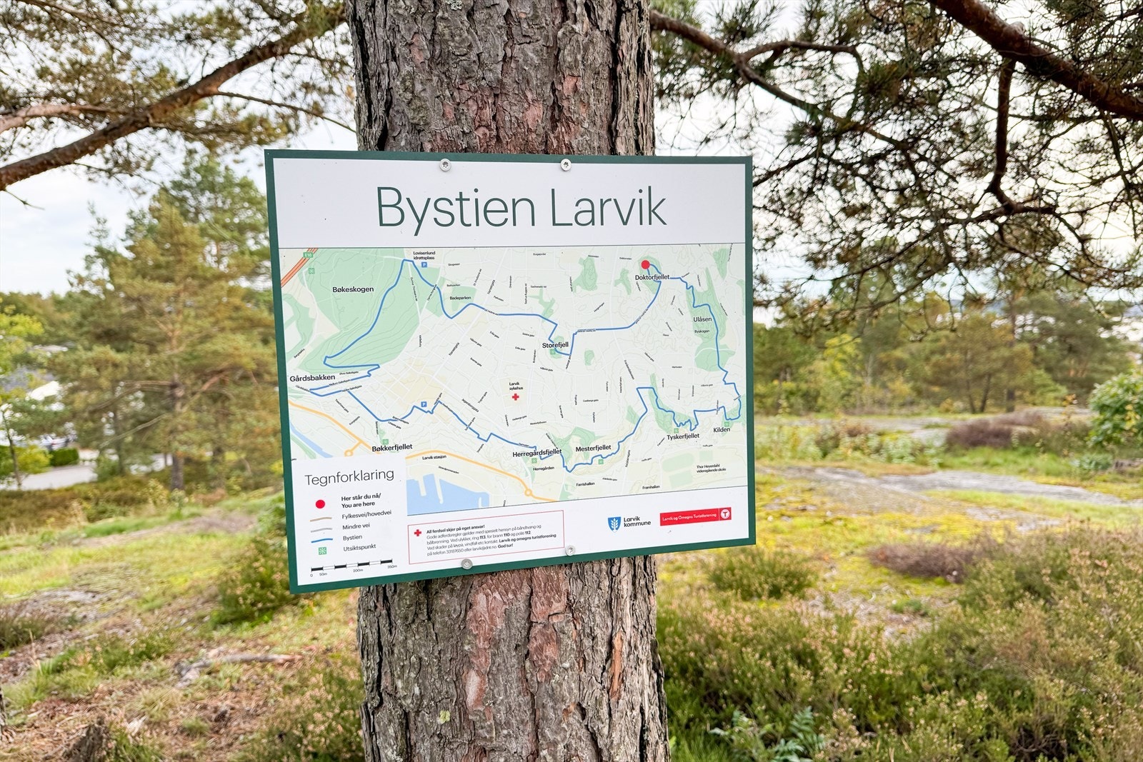 Doktorfjellet Galleribilde