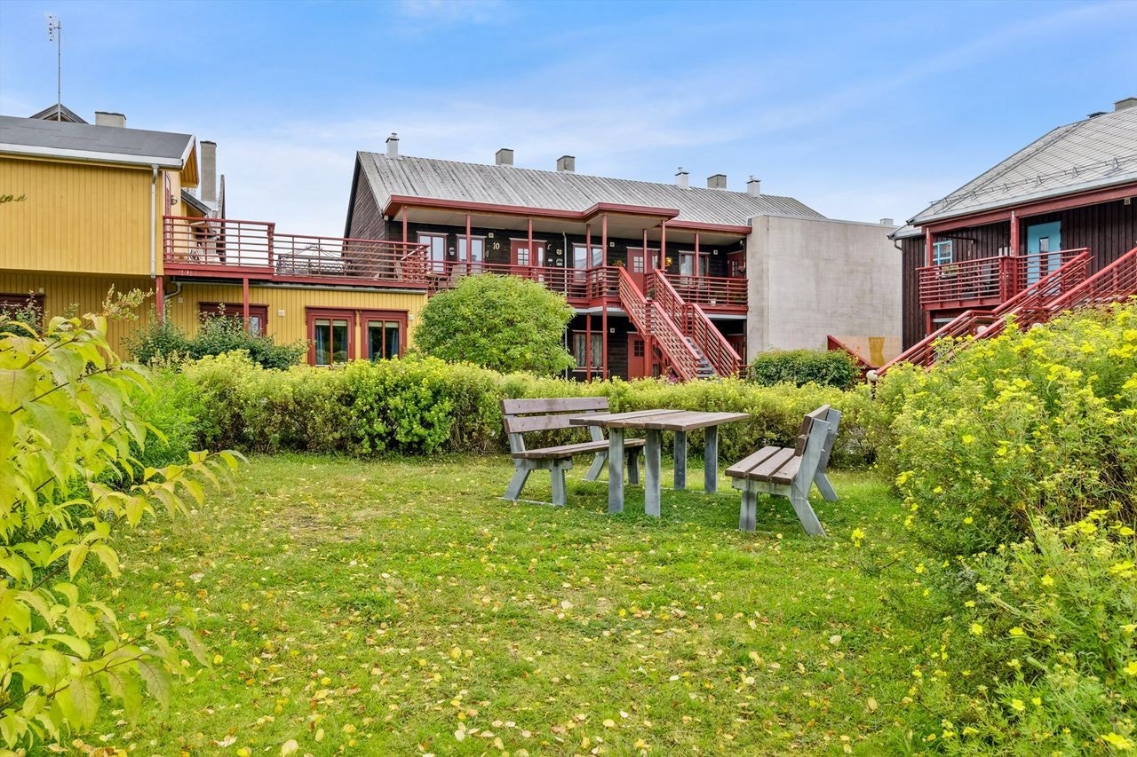 Pent felles uteområde opparbeidet med plen, beplantning og asfalterte gangstier Galleribilde