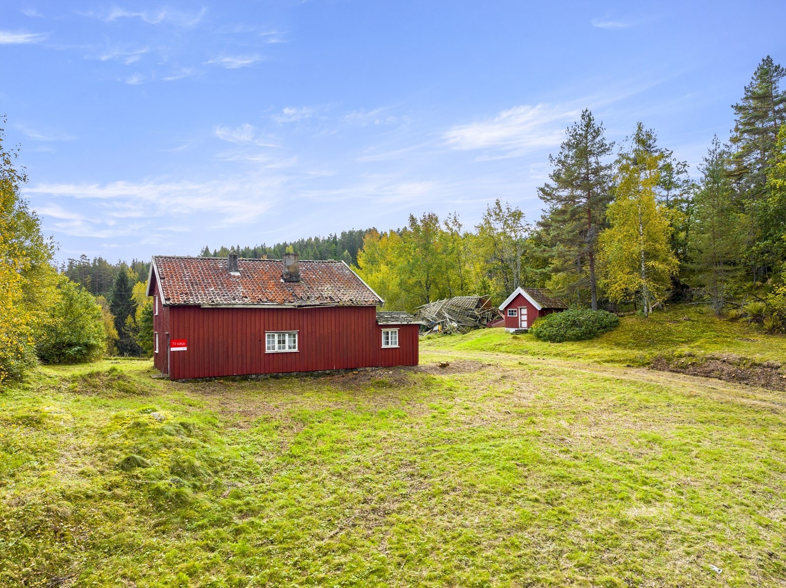 Eiendommen. Galleribilde