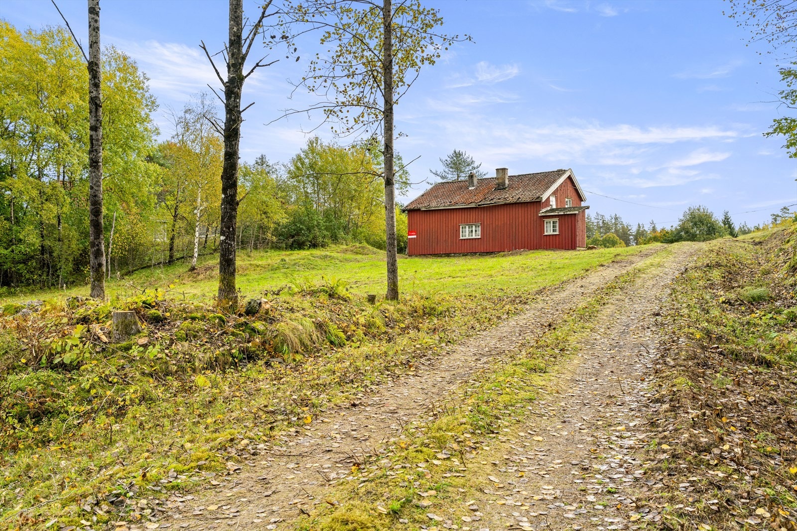 Noe skrånende tomt på begge sider av boligen hovedsakelig bestående av innmark og et hyggelig tun. Galleribilde