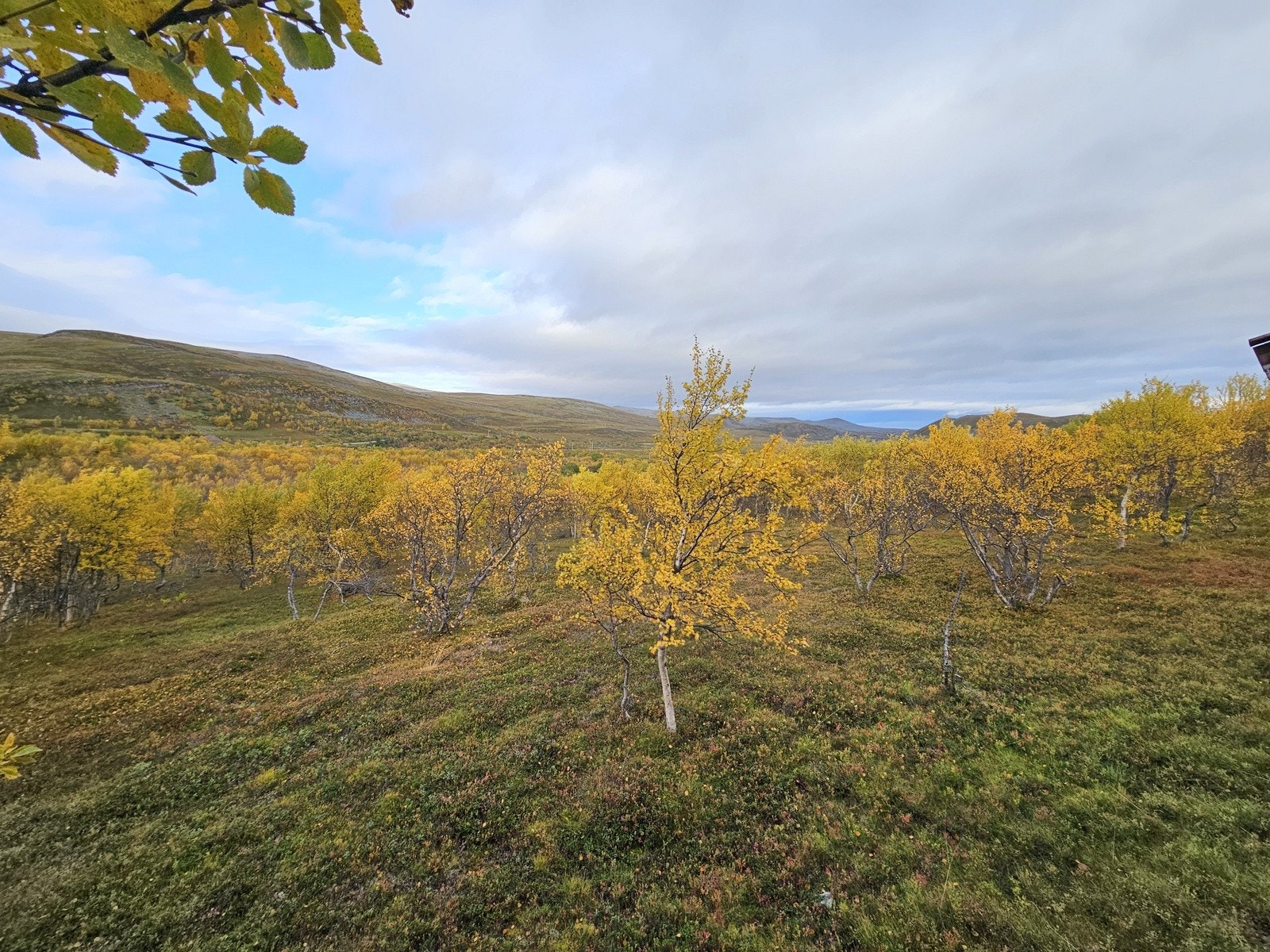 Hytta ligger i et utrolig flott område Galleribilde