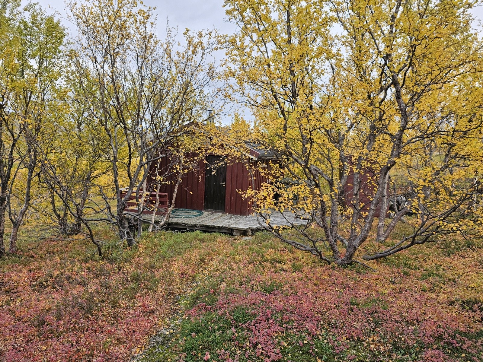 Badstubygg Galleribilde