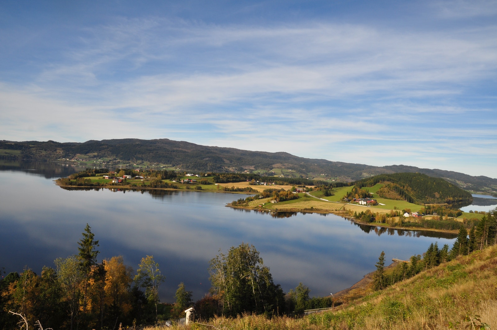 Utsikt mot Selbustrand og Flønes Galleribilde