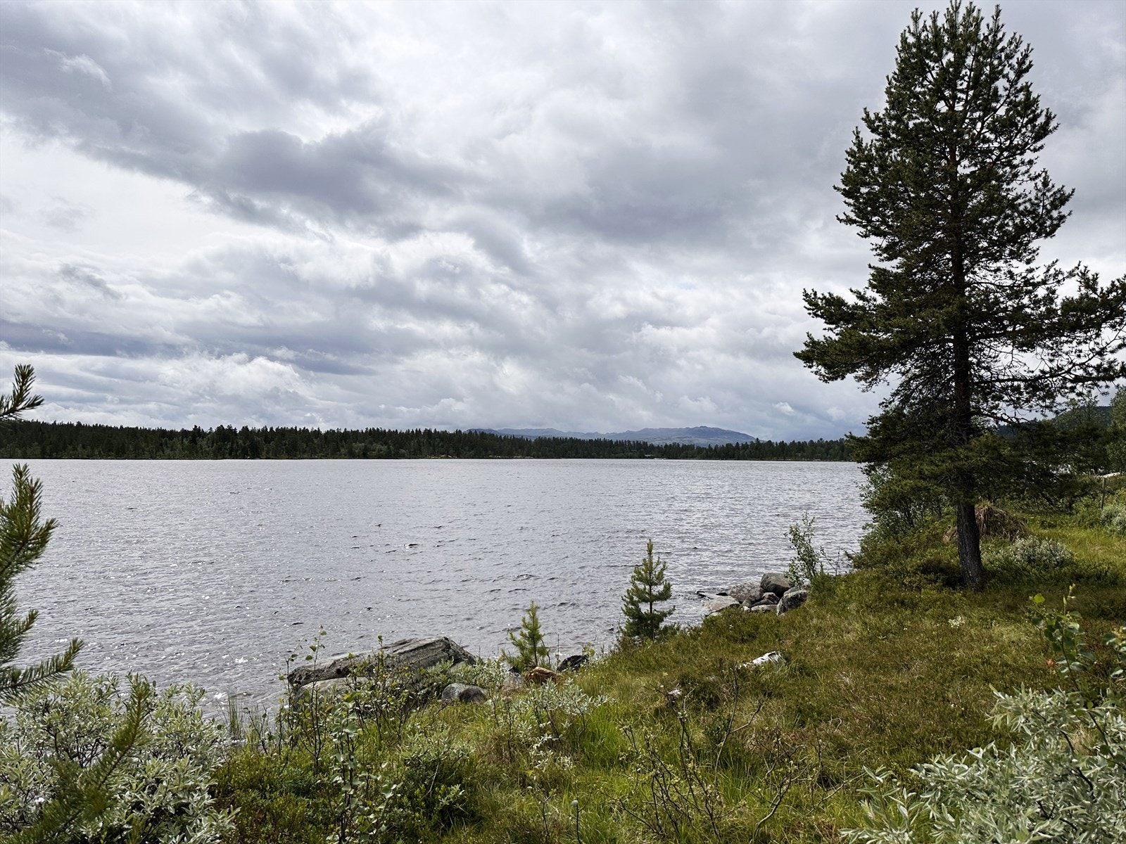 I Buvatn kan en både fiske og bade. Det er lov med robåt og stangfiske ved fiskekort (ikke motorisert båt). Galleribilde