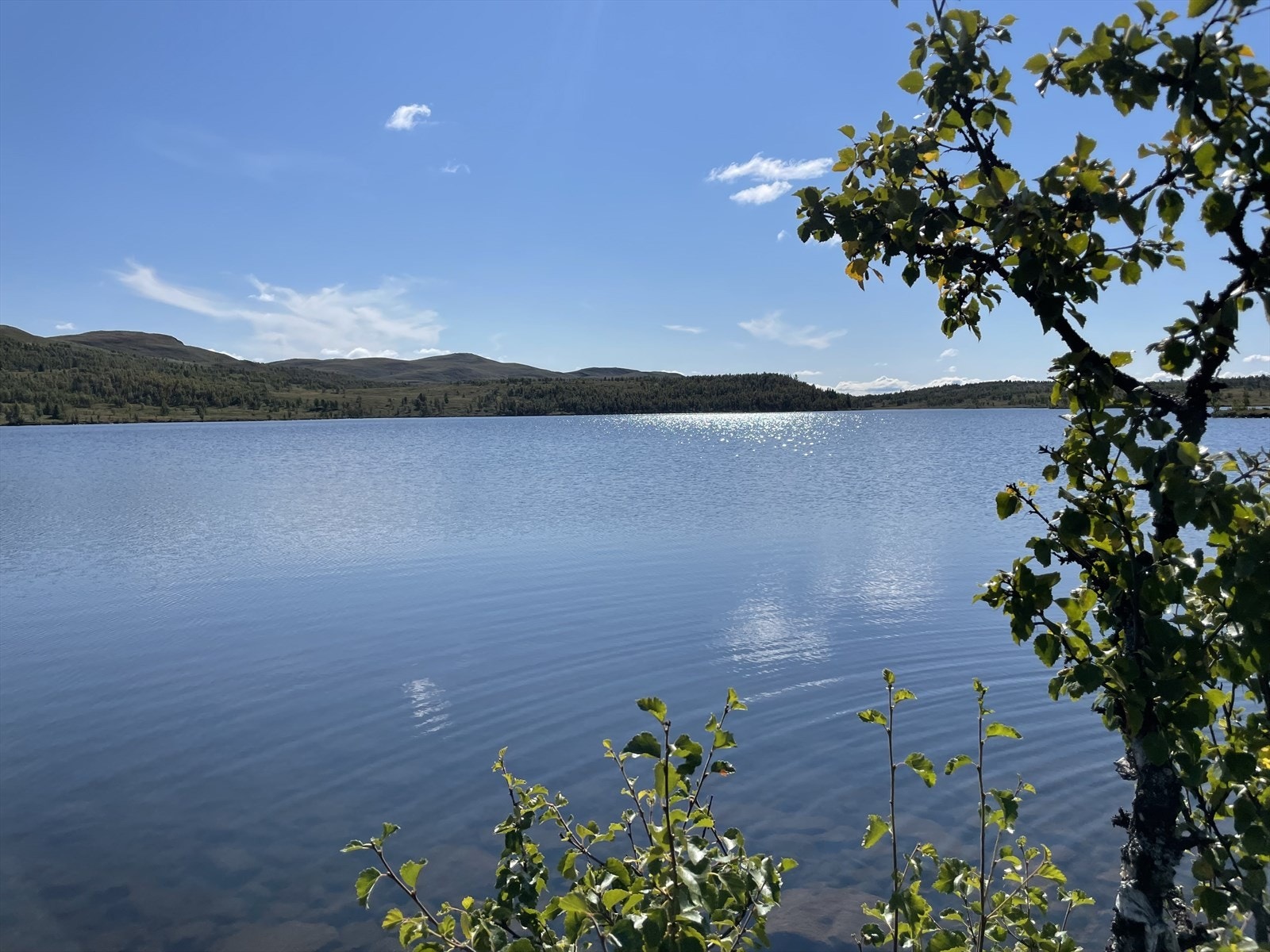 Idylliske Øyvann - et nydelig turmål i nærhet Galleribilde