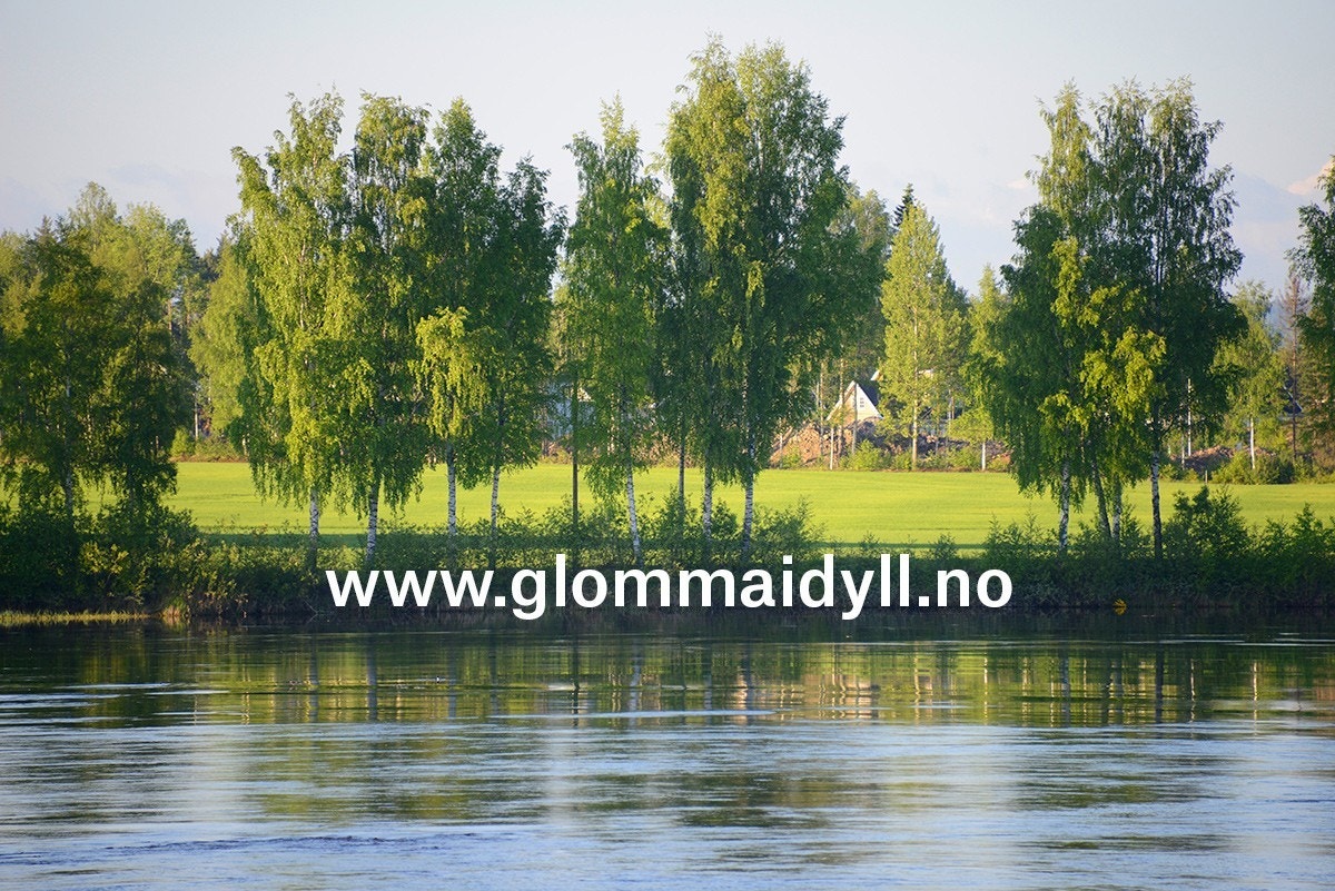 Finn ledige tomter på www.glommaidyll.no Galleribilde