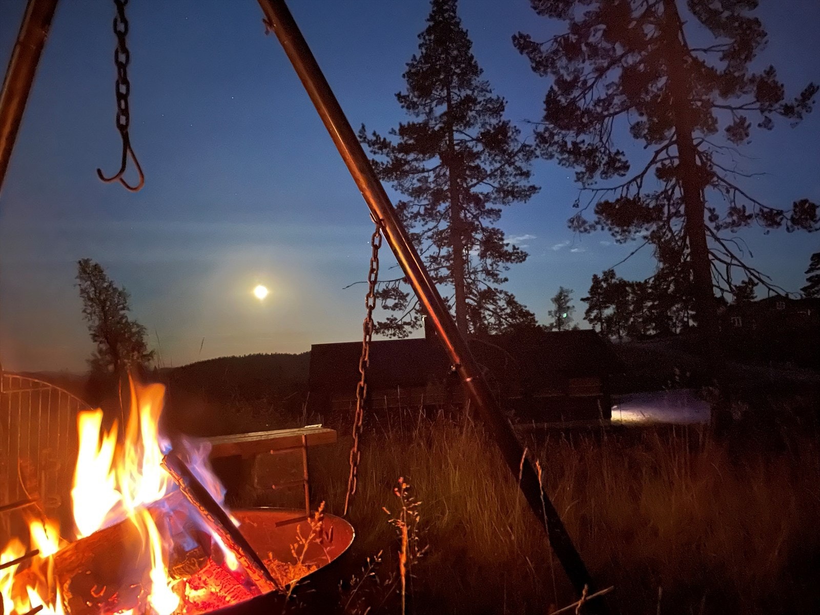 Bålpannekos i måneskinn Galleribilde