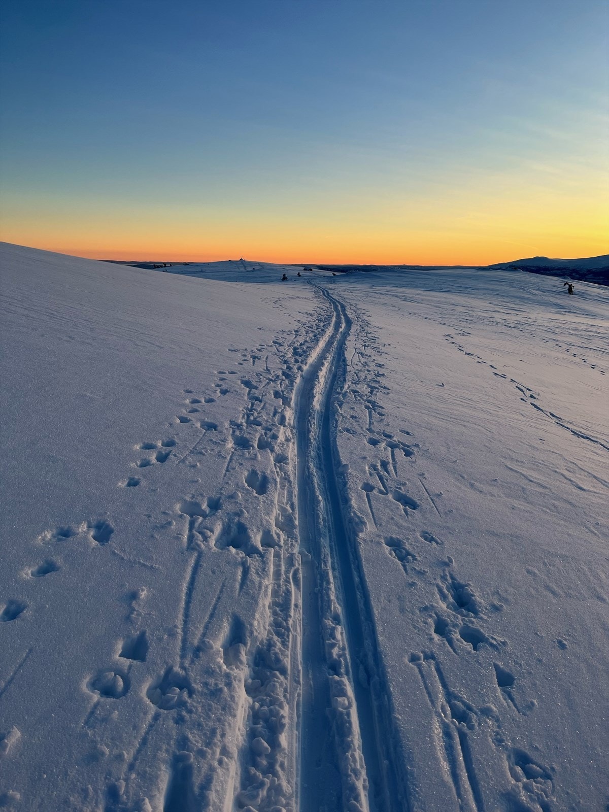 Området er perfekt for toppturer sommer, som vinter. Galleribilde