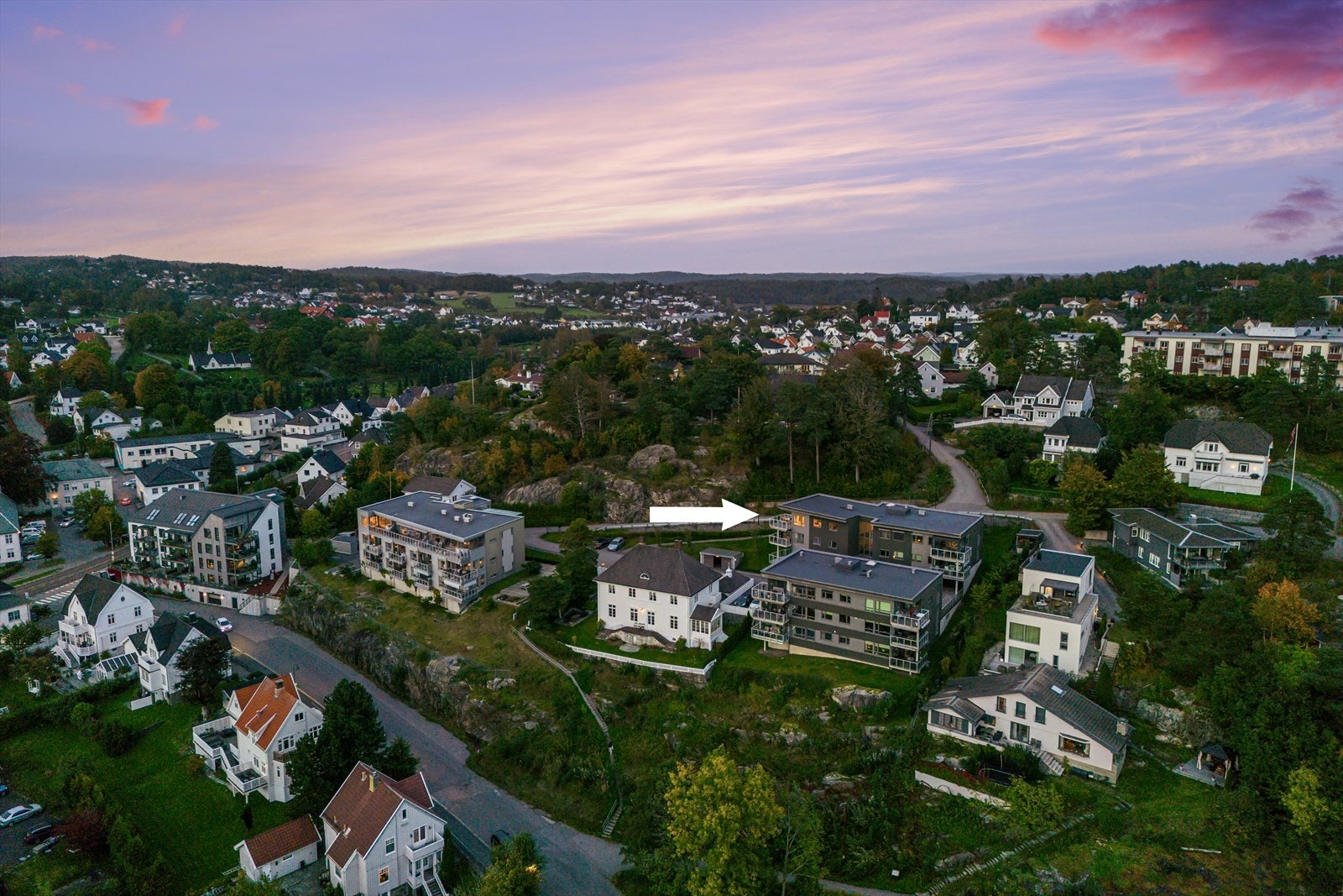 Meget sjelden anledning Galleribilde