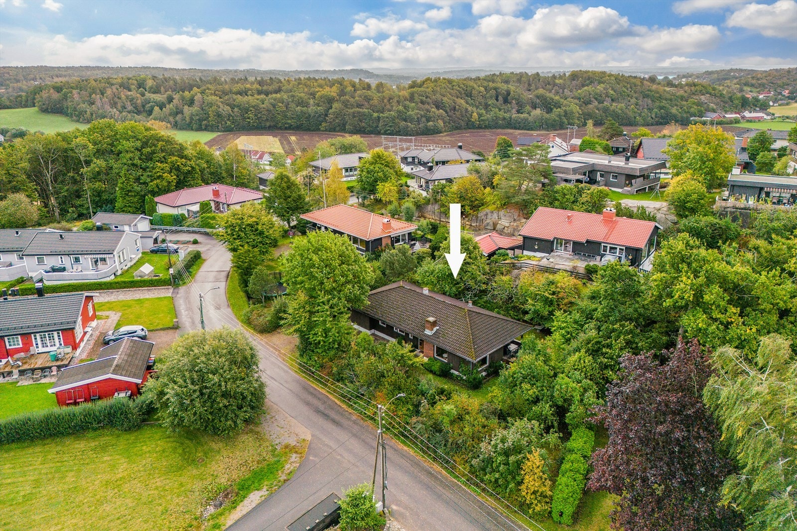 Oversiktsbilde Galleribilde