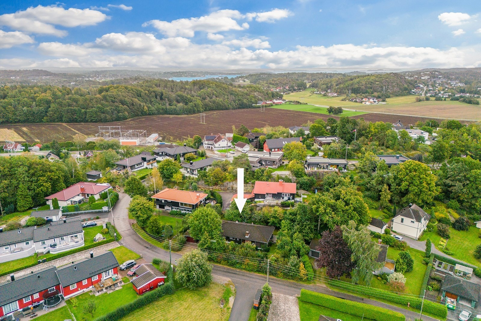Oversiktsbilde Galleribilde