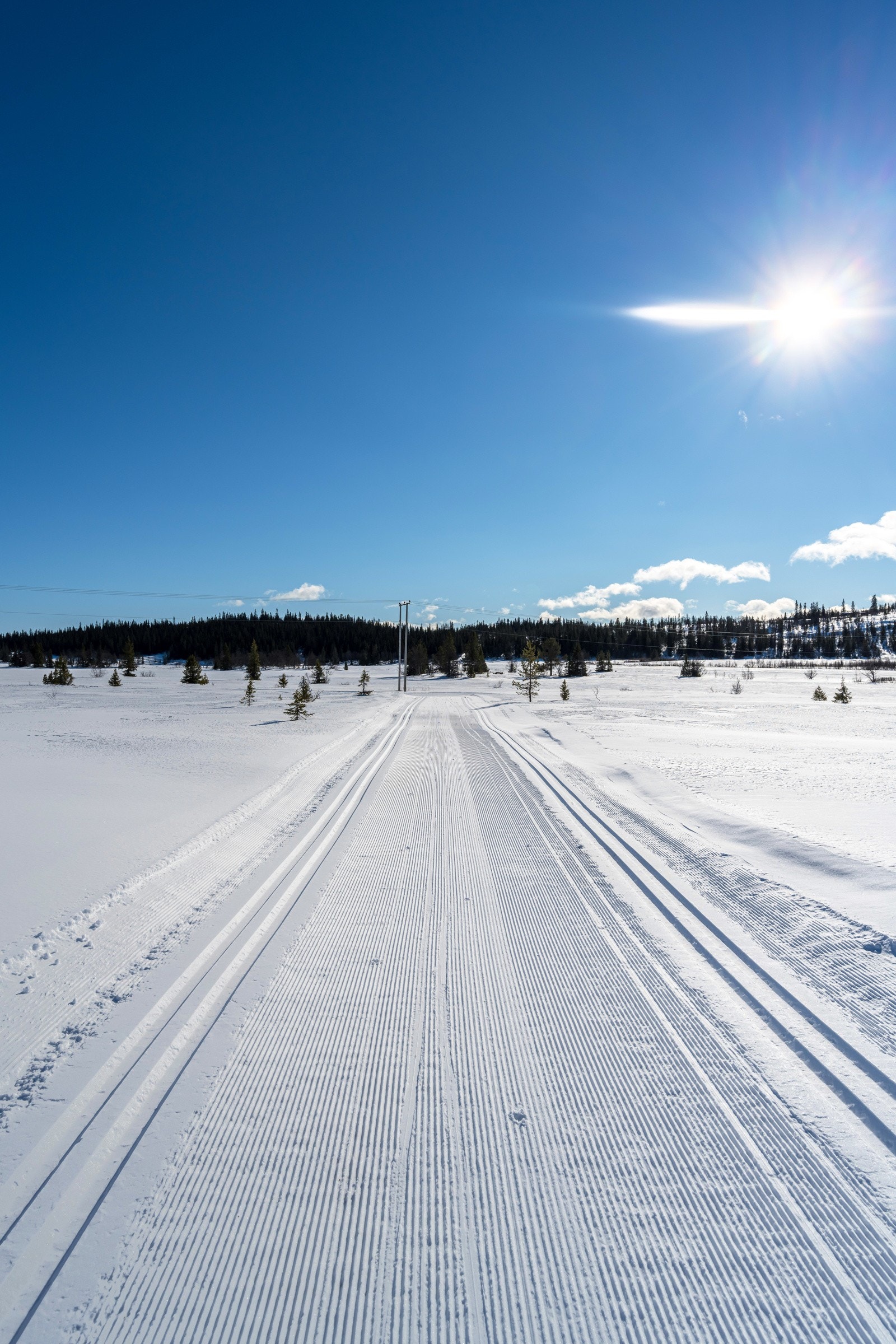 Ext_202 Galleribilde