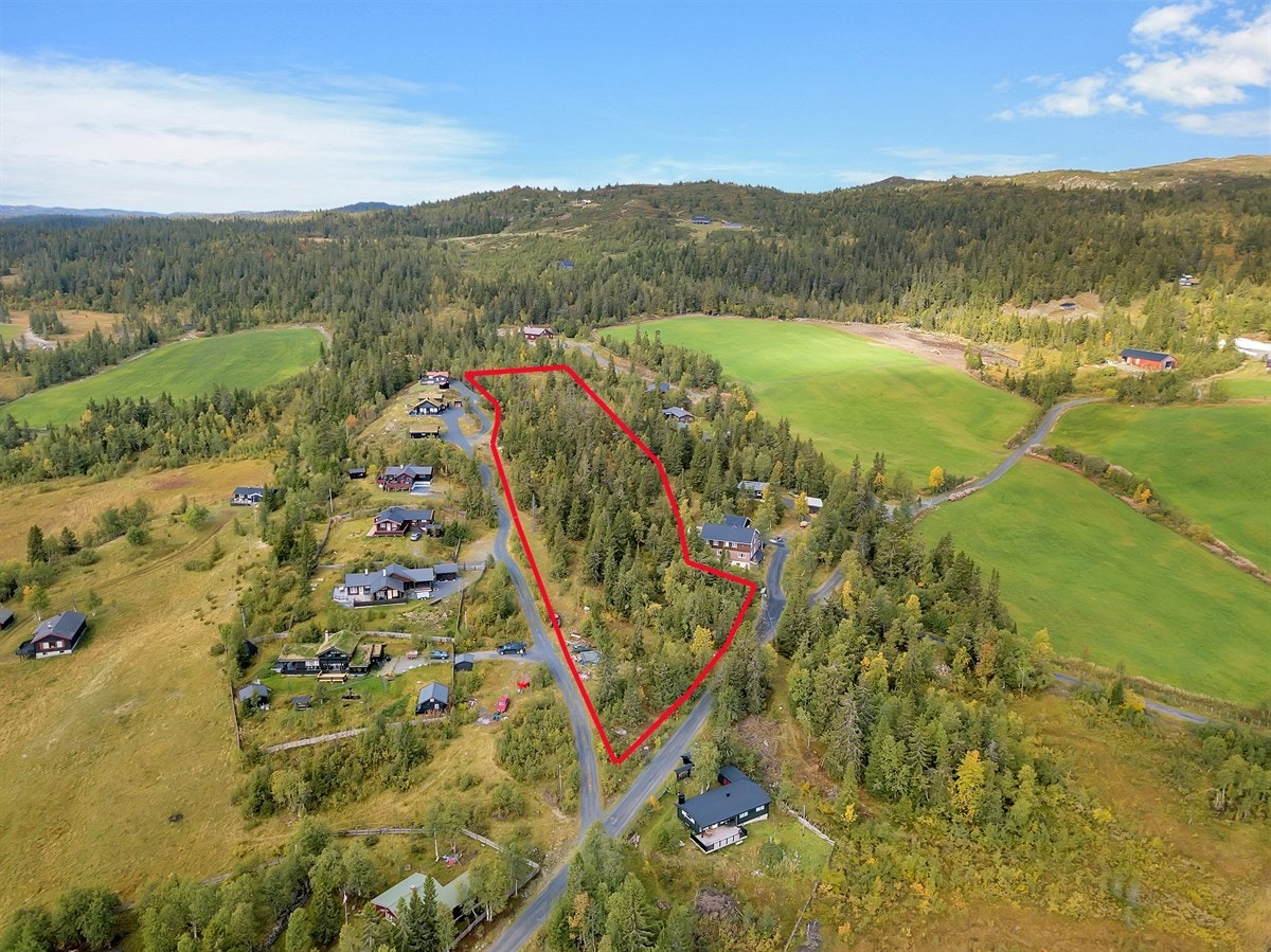 ext_1_markert Galleribilde