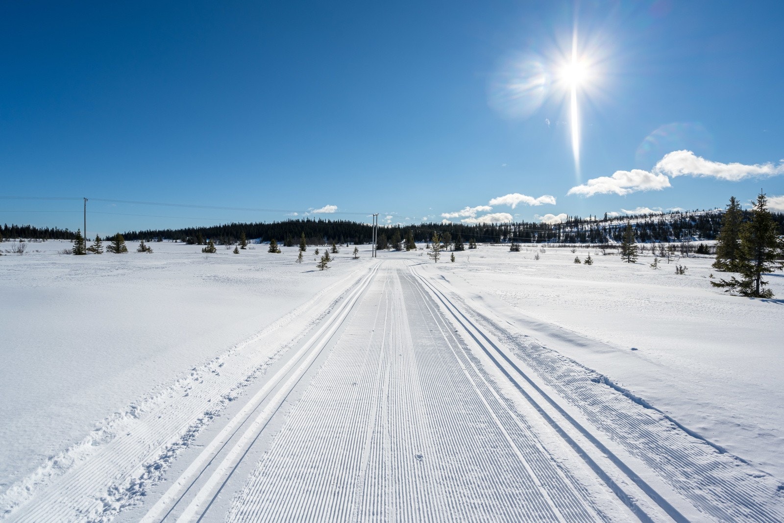 Ext_201 Galleribilde