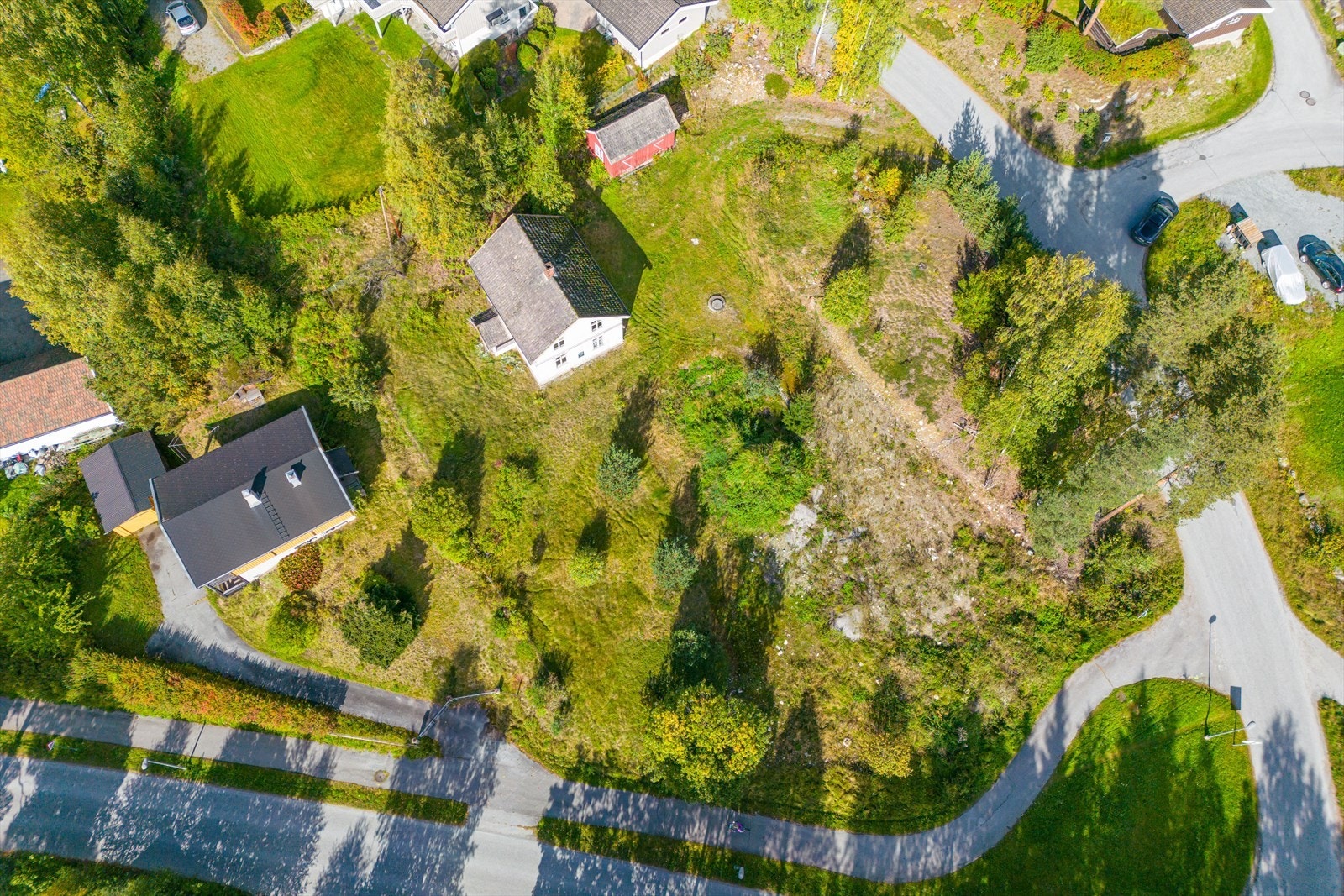 Bækenlia Galleribilde
