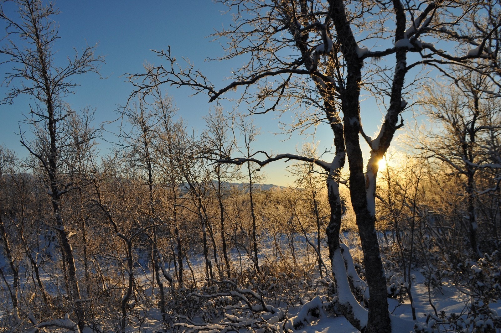 Utnyttelsesgrad pr tomt er satt til 30% Galleribilde