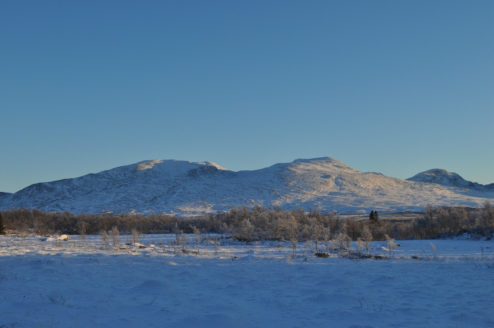 På fjellet finner du også vintermerkede løyper. Dette området som henger sammen med Sverige utgjør det største vintermerkede området i verden Galleribilde