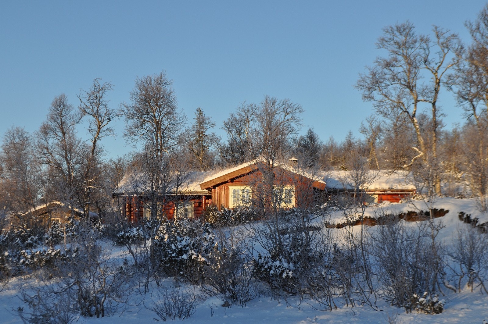 Kjølvollen hytteområde gir mulighet for svært gode naturopplevelser Galleribilde