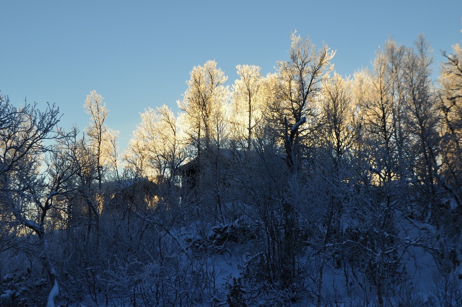 Kjølvollen hyttefelt har 39 tomter fordelt på et område med en størrelse på totalt 410 dekar Galleribilde