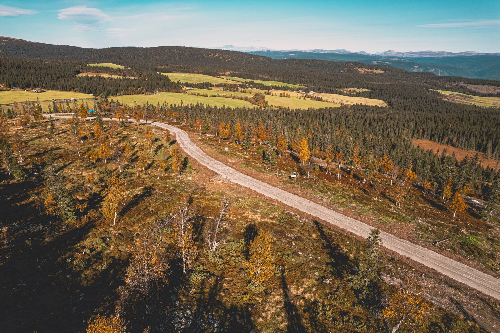 Hestknappen tomteområde Galleribilde