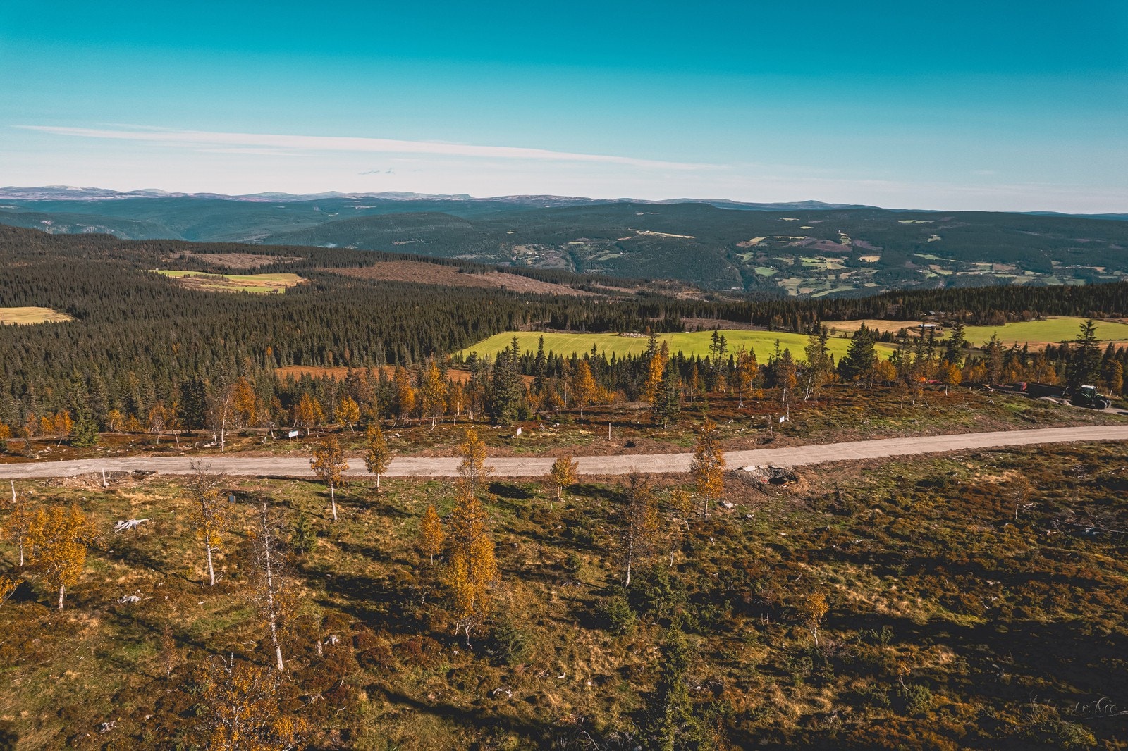 Hestknappen tomteområde Galleribilde