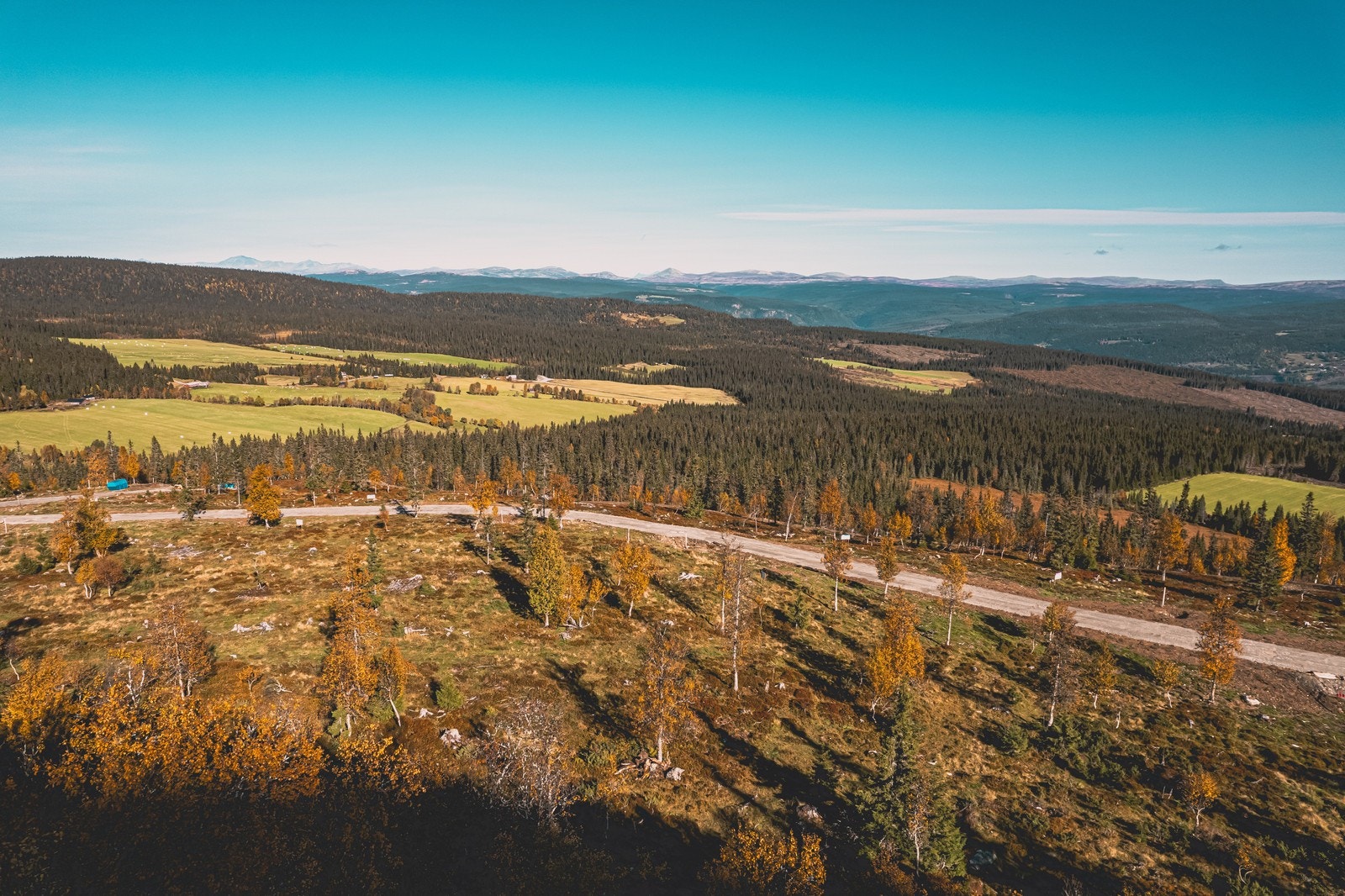 Hestknappen tomteområde Galleribilde