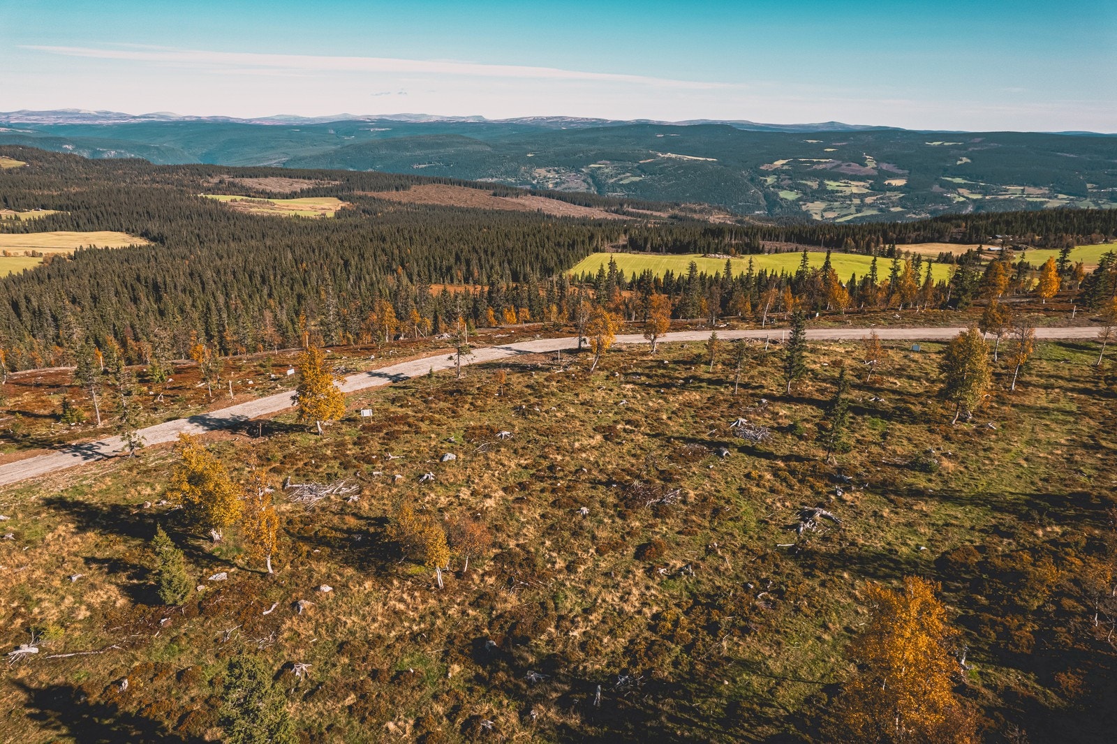 Hestknappen tomteområde Galleribilde
