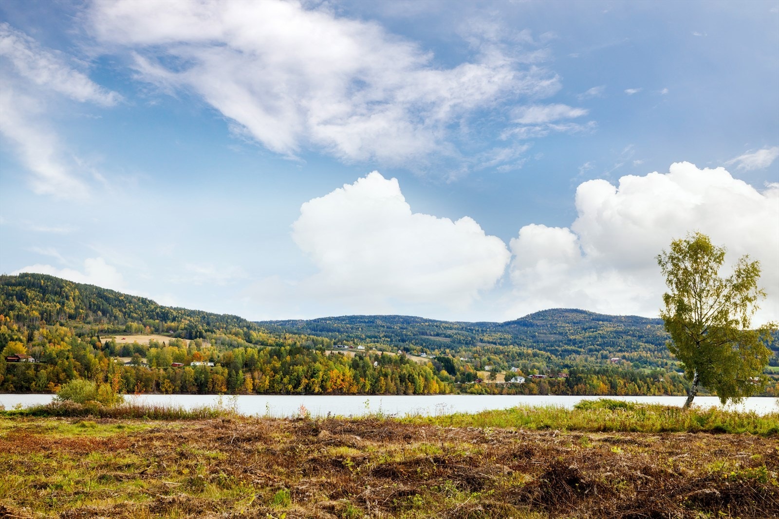 Bergsjø byr på gode bade og fiskemuligheter. Galleribilde