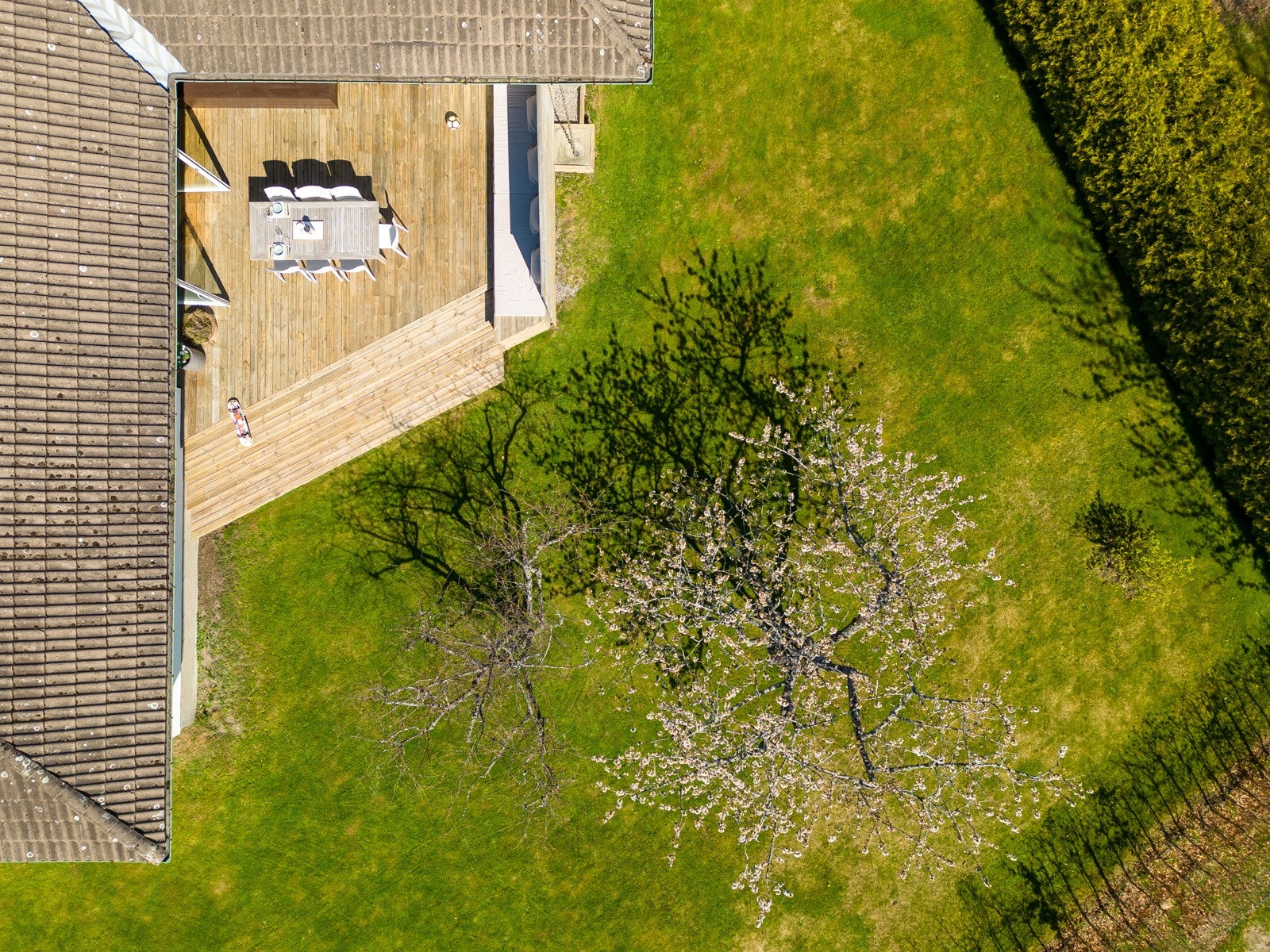Ca 40 kvm frokostterrasse mot øst og syd. Galleribilde