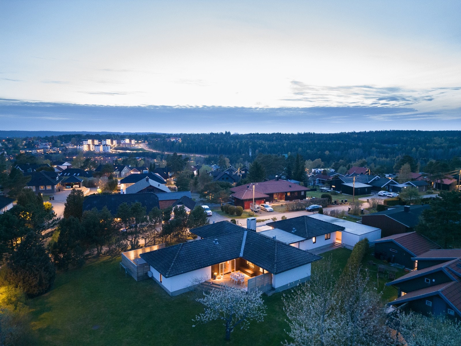 Øverst på Gamle Falchåsen. Galleribilde