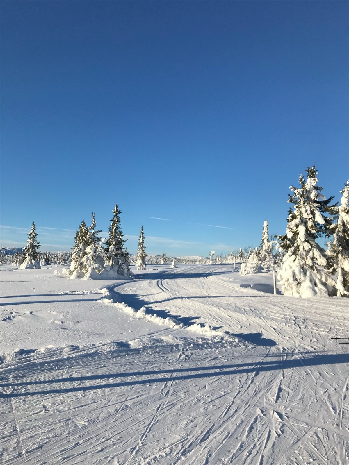 Sjusjøen er et eldorado både sommer og vinter Galleribilde