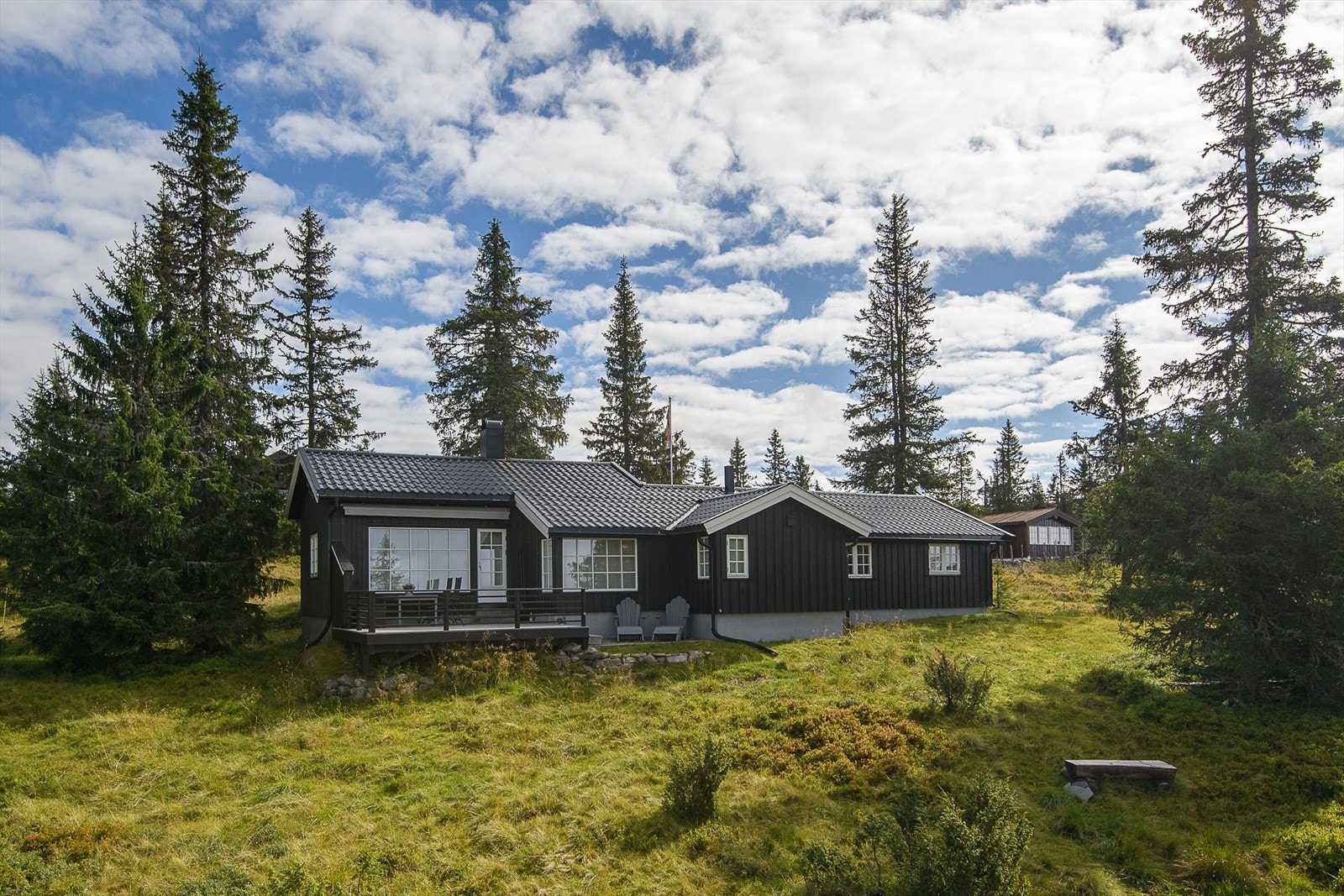 Velkommen til Rømåsen 109! Galleribilde