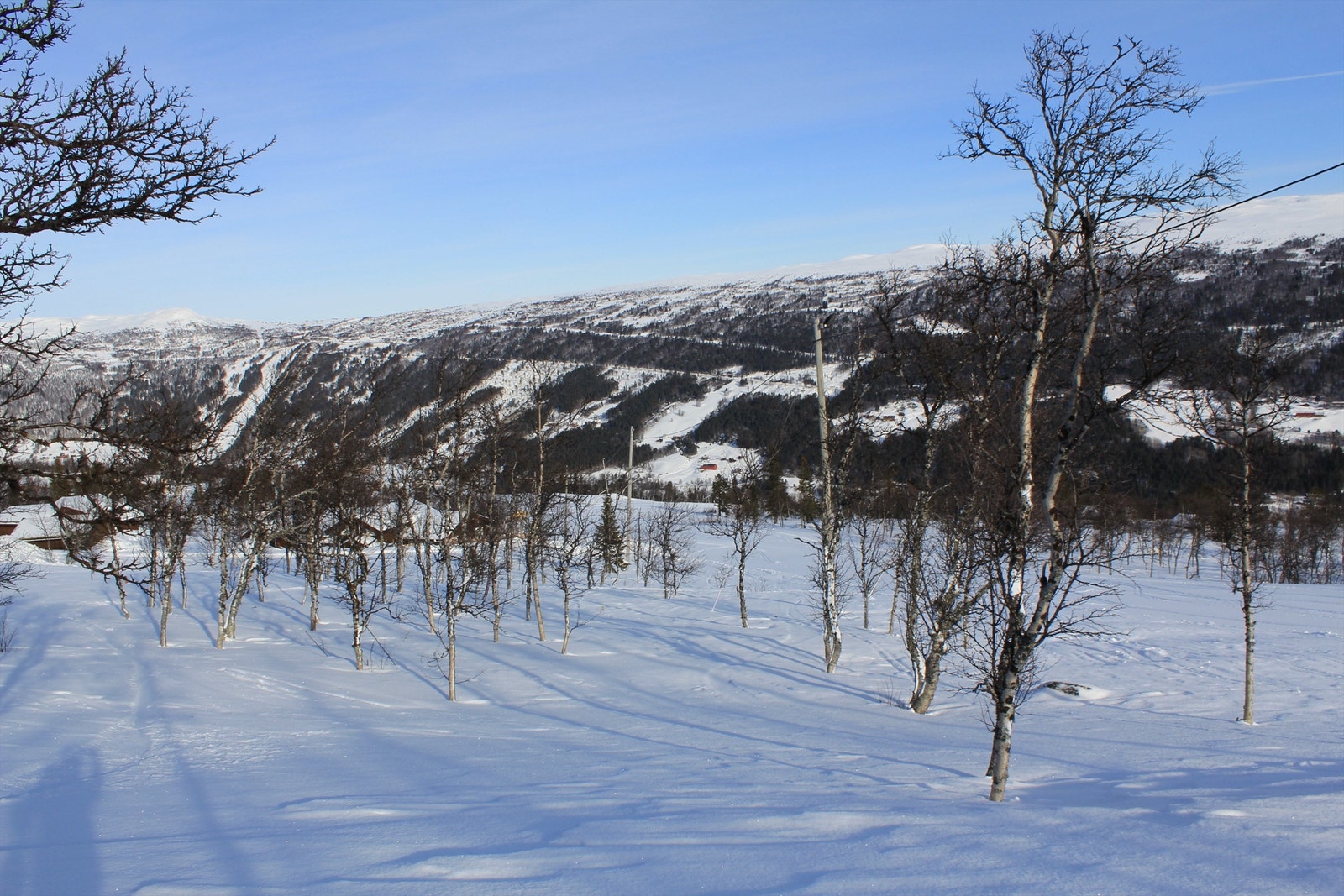 Tomten er merket opp av eier, slik at en interessent enkelt kan finne tomten ved besiktigelse Galleribilde