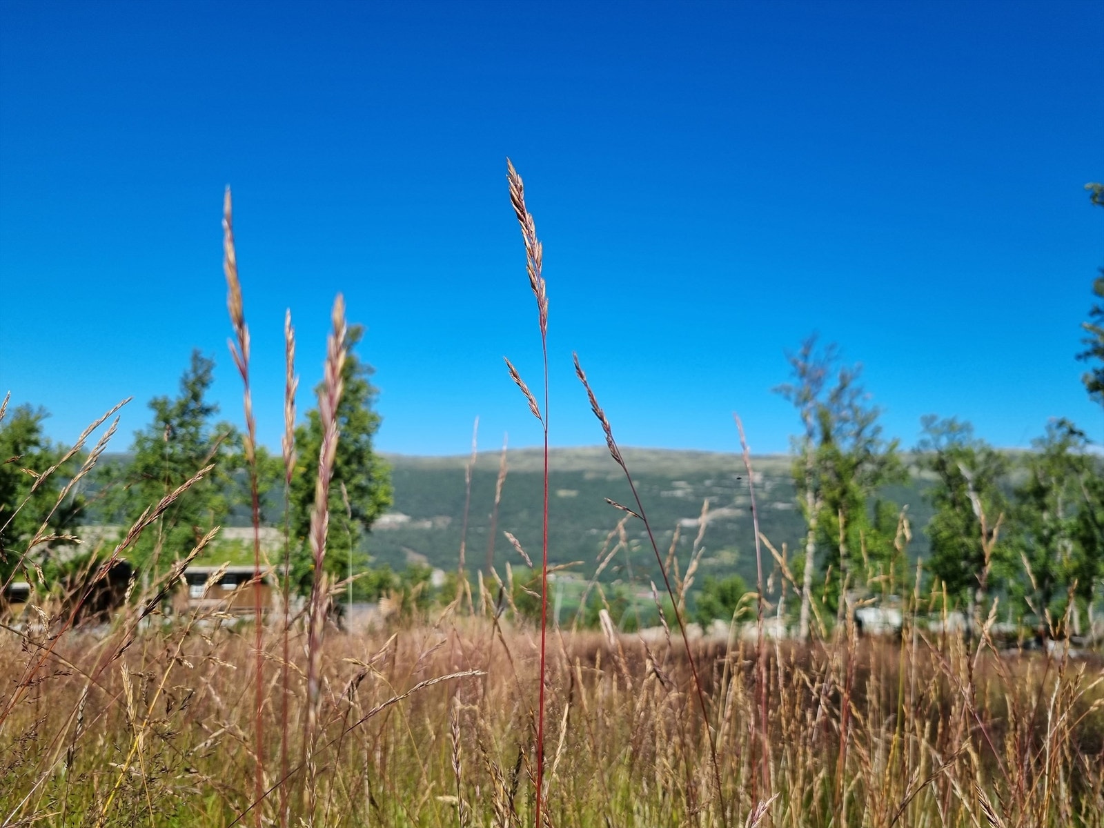 Området kan skimte med nydelig utsikt og vakker natur Galleribilde
